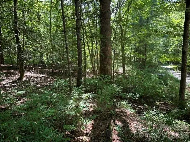 TBD Blossom Road, Brevard, NC 28712 - #2