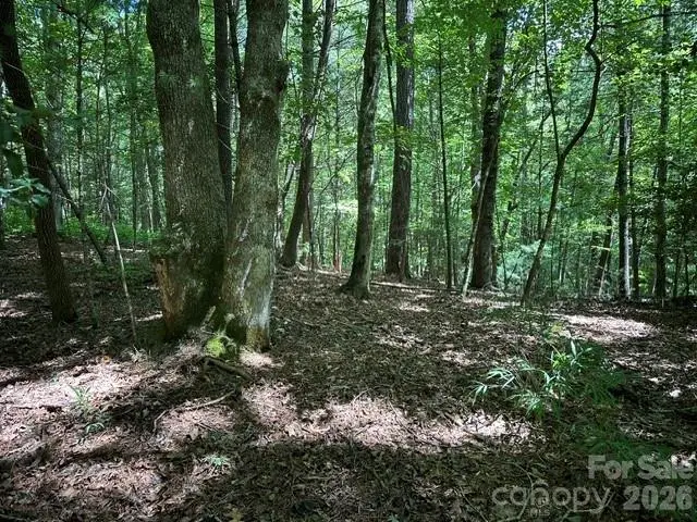 TBD Blossom Road, Brevard, NC 28712 - #3