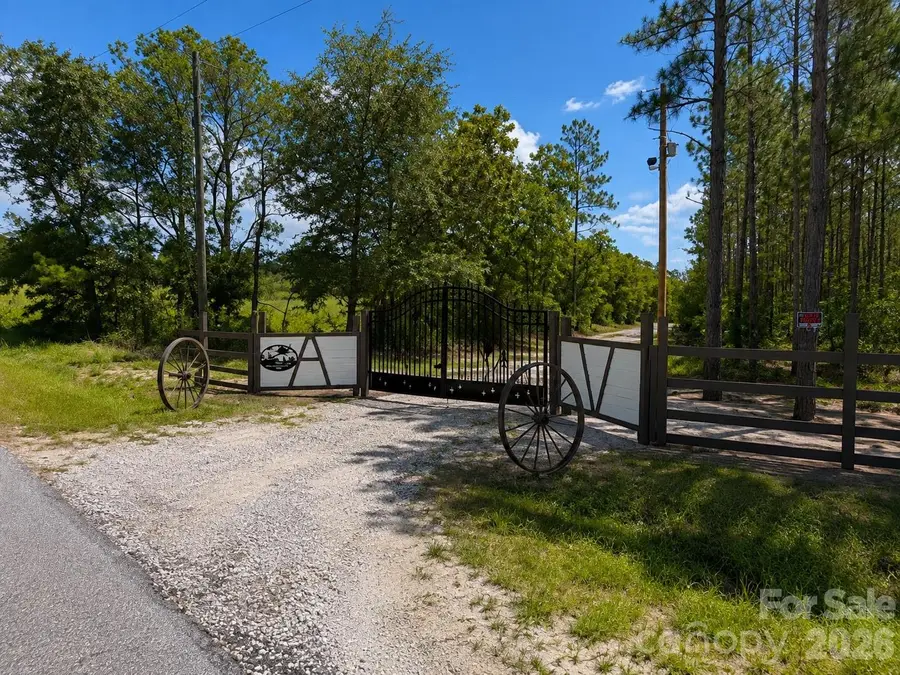 3203 Landfill Road, Mount Croghan, SC 29727 - #2