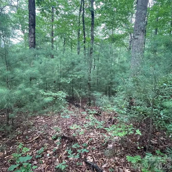 0 Mulberry Divide, Zirconia, NC 28790