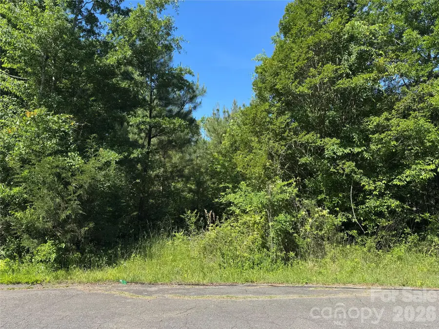1129 Flint Street Extension, Rock Hill, SC 29730 - #2