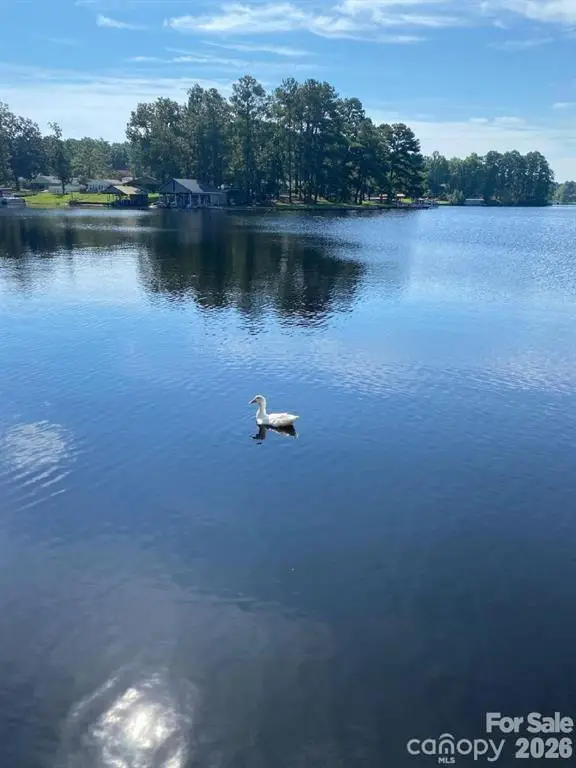 217 Sandy Point Lane #12, Hartsville, SC 29550 - #2