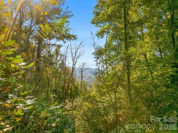 TBD Laurel Heights #35, Marshall, NC 28753