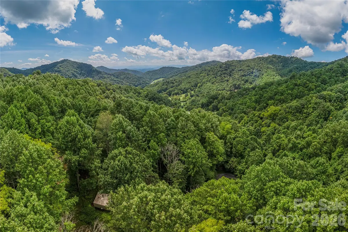 99999 Rabbit Run, Marshall, NC 28753 - #1