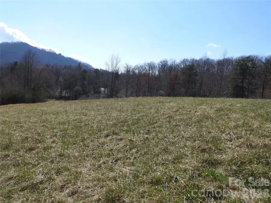 00 Laurel Lakes Parkway #Lot 1, Lake Lure, NC 28746 - #2