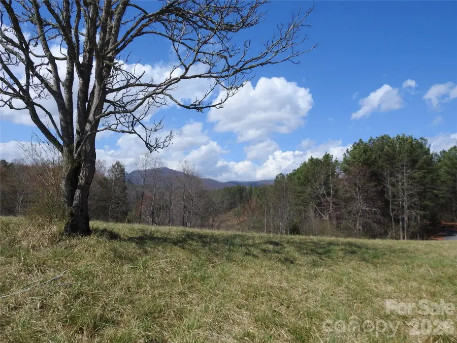 00 Laurel Lakes Parkway #Lot 1, Lake Lure, NC 28746 - #3