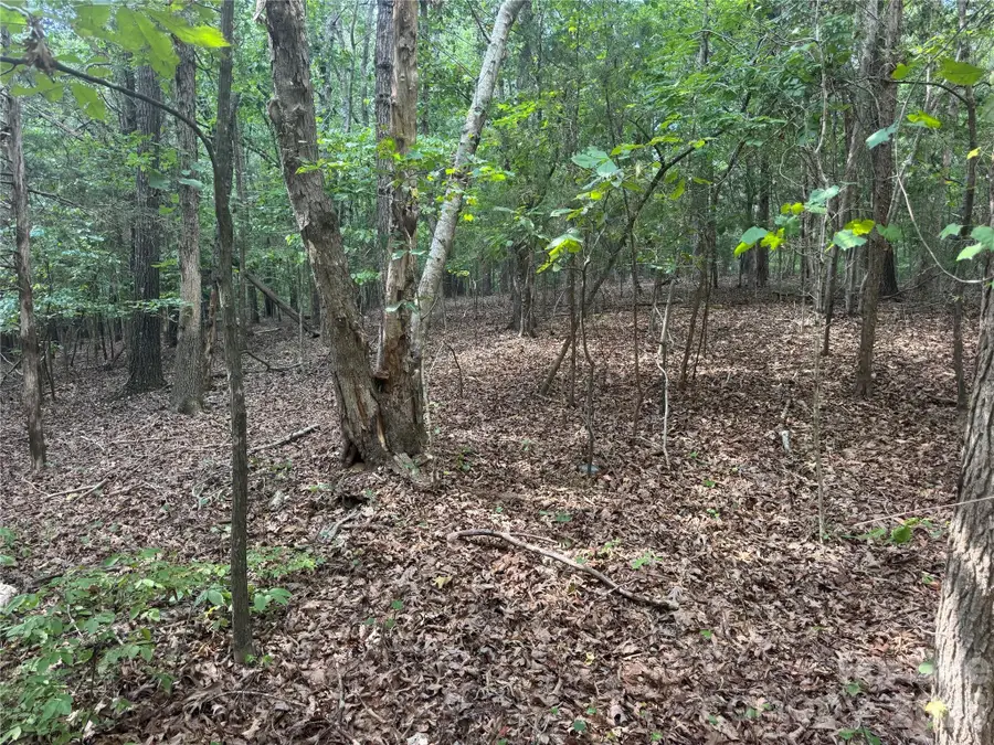 7.5 Acres Old Camden Monroe Highway, Lancaster, SC 29720 - #2