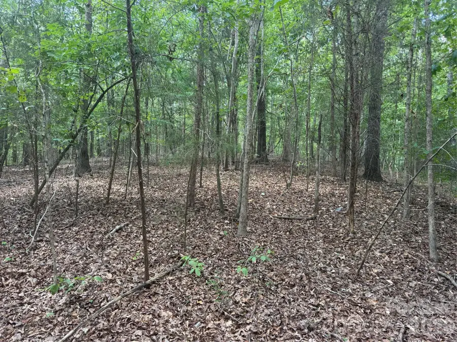 7.5 Acres Old Camden Monroe Highway, Lancaster, SC 29720 - #3
