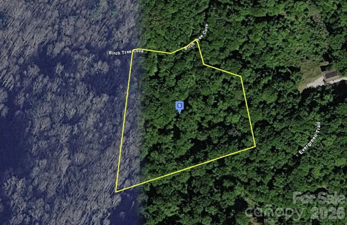 111 Birch Tree Cove, Franklin, NC 28734 - #1