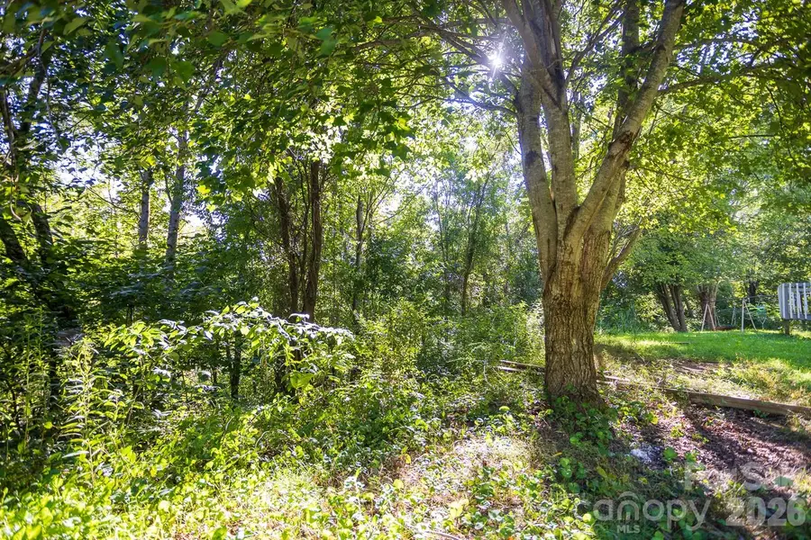 56 Longs Chapel Road, Weaverville, NC 28787 - #2