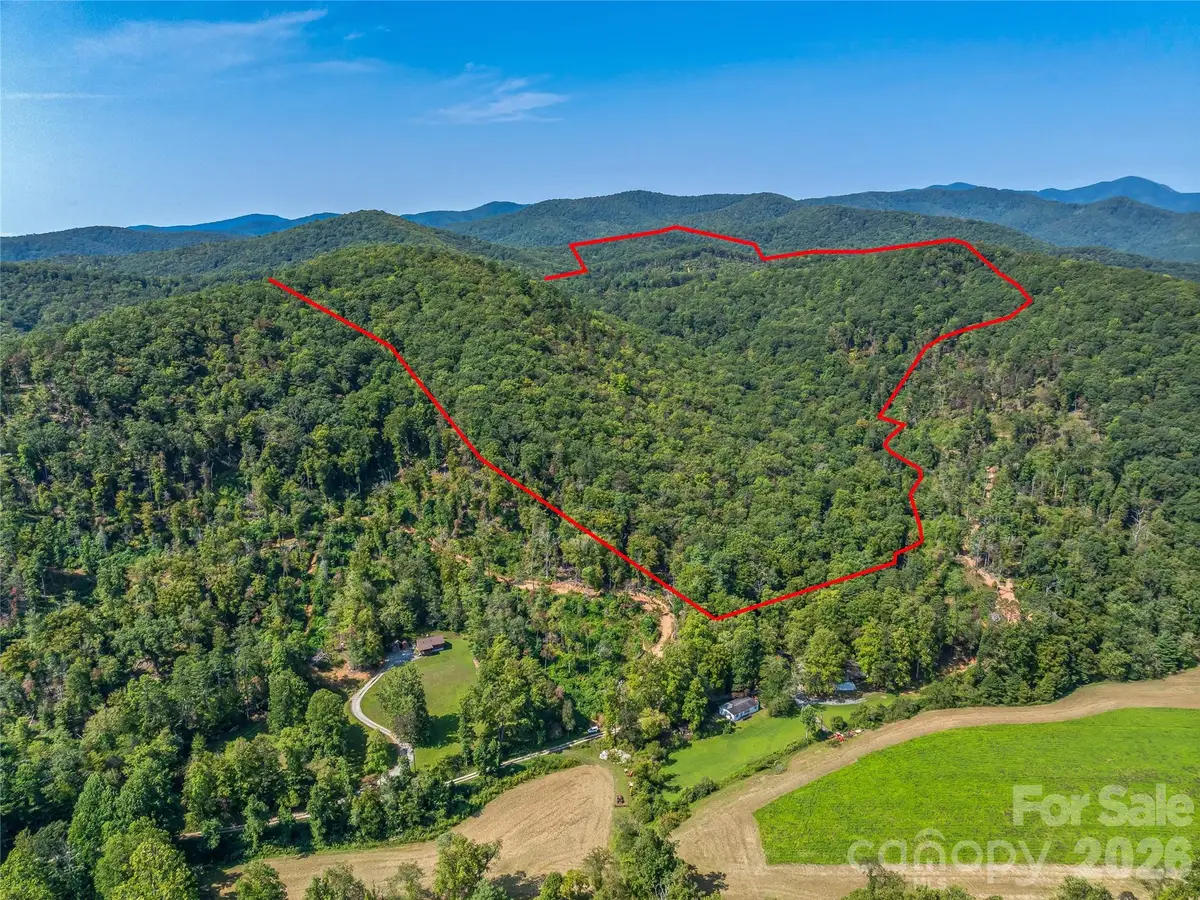 567 Davey Branch Road, Horse Shoe, NC 28742 - #1