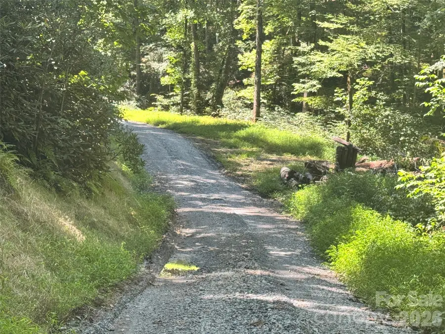 567 Davey Branch Road, Horse Shoe, NC 28742 - #3