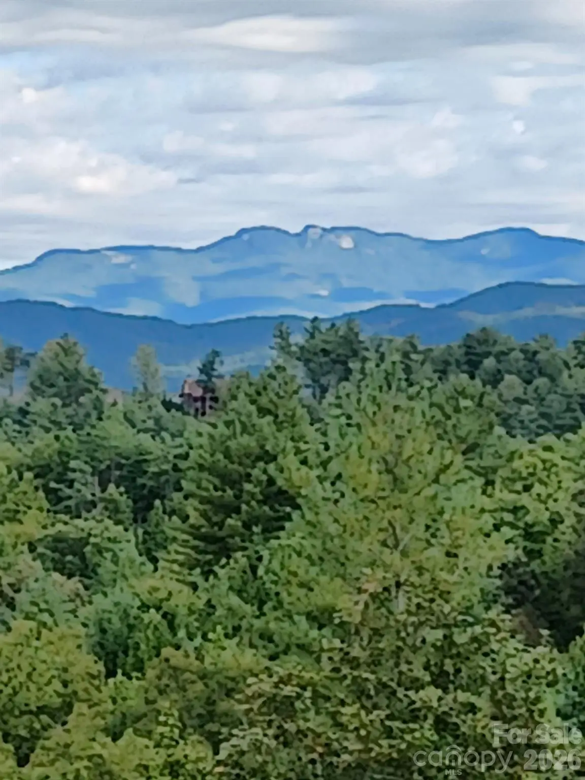Lot 395 River Ridge Way, Lenoir, NC 28645 - #1