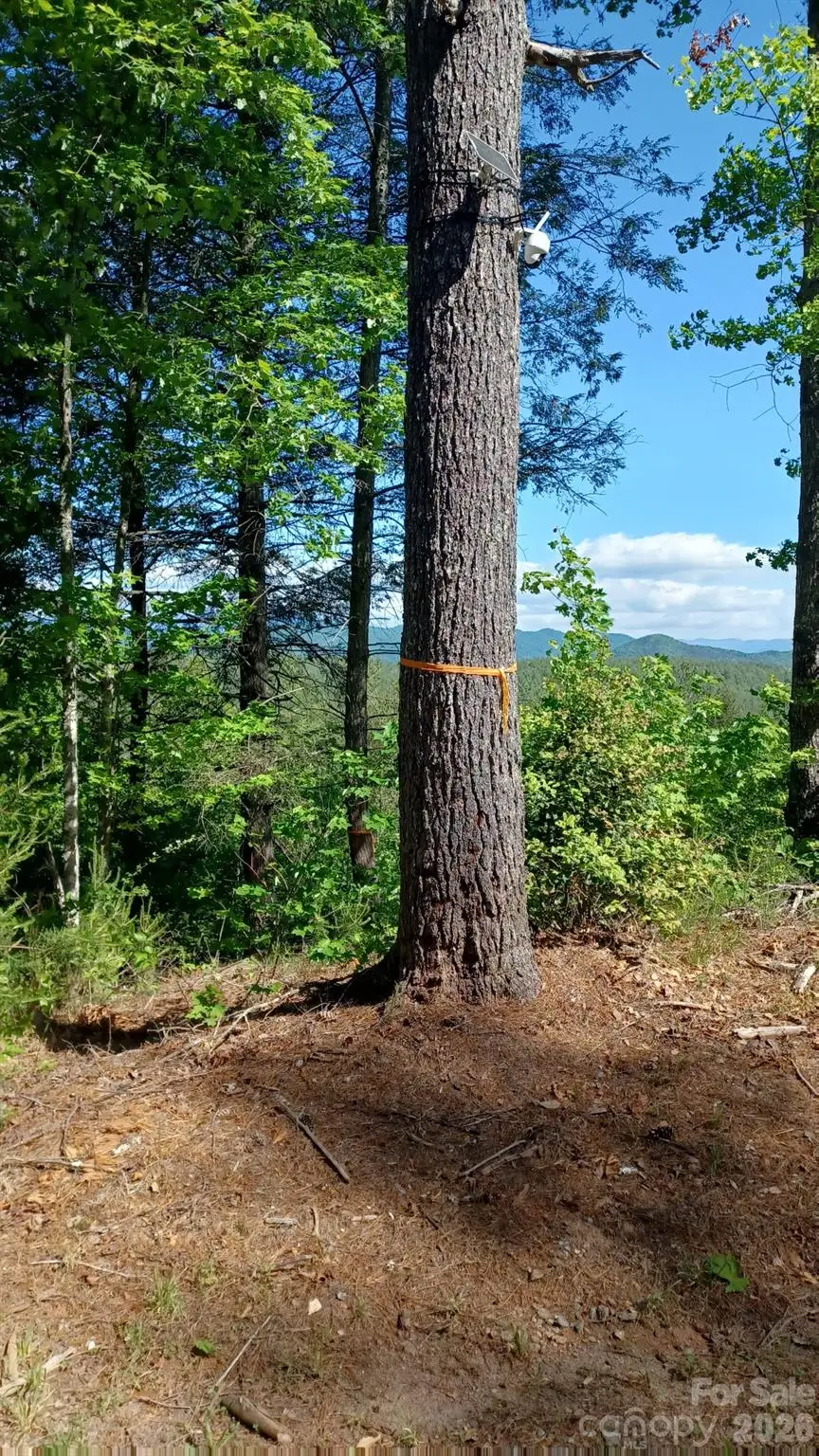 Lot 395 River Ridge Way, Lenoir, NC 28645 - #3