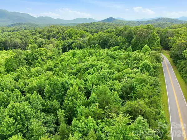 2873 Parker Padgett Road, Old Fort, NC 28762
