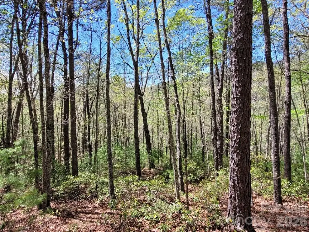 Lot 21 Little Fox Run, Marion, NC 28752 - #1