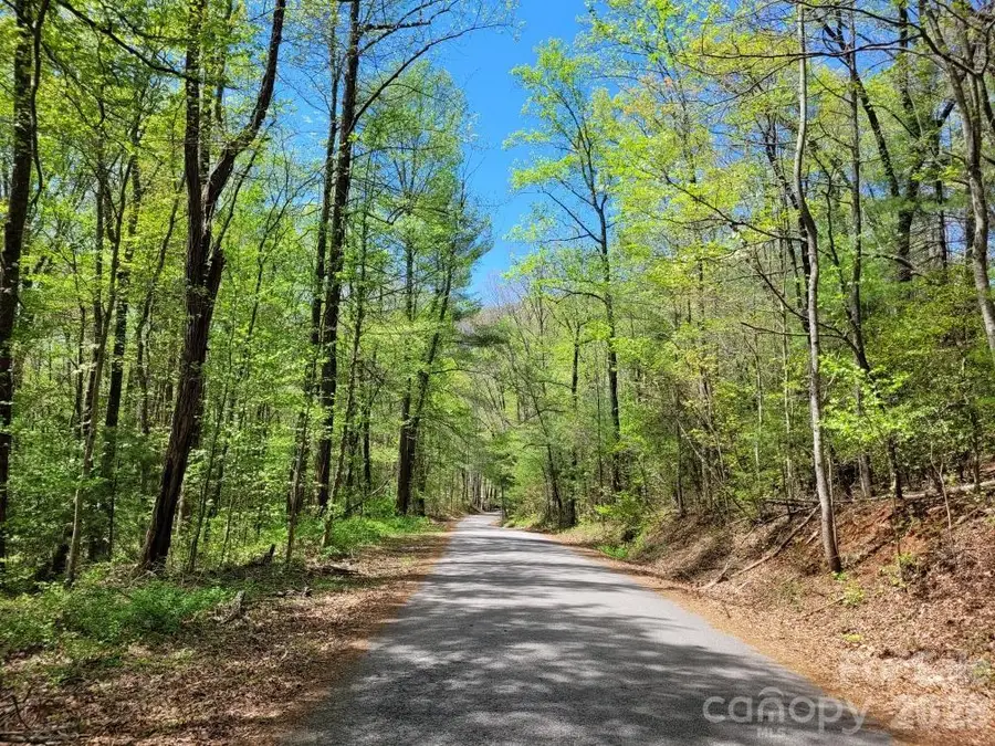 Lot 21 Little Fox Run, Marion, NC 28752 - #3