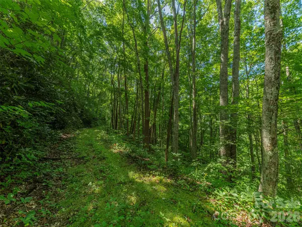132 Grouse Road #131, 132, 133, 134, Clyde, NC 28721