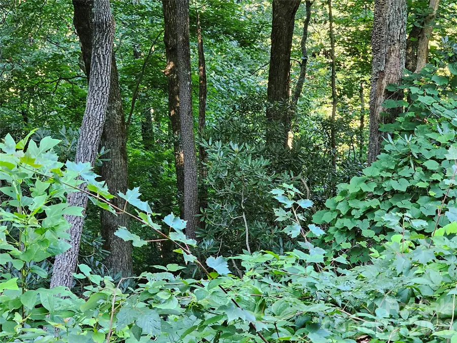 109 Big Ridge Road #109, Burnsville, NC 28714 - #2