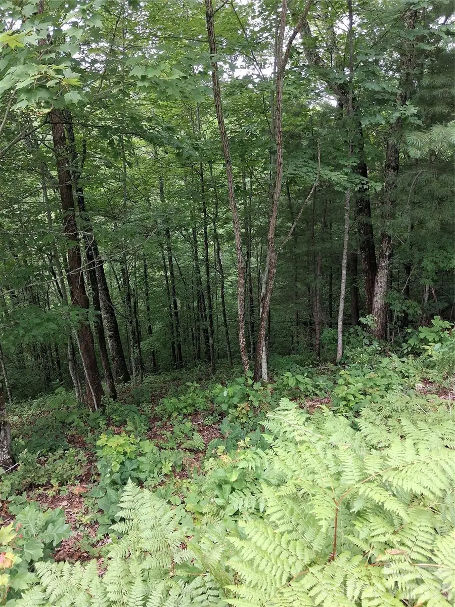 TBD Preservation Trail #47, Sylva, NC 28779 - #3