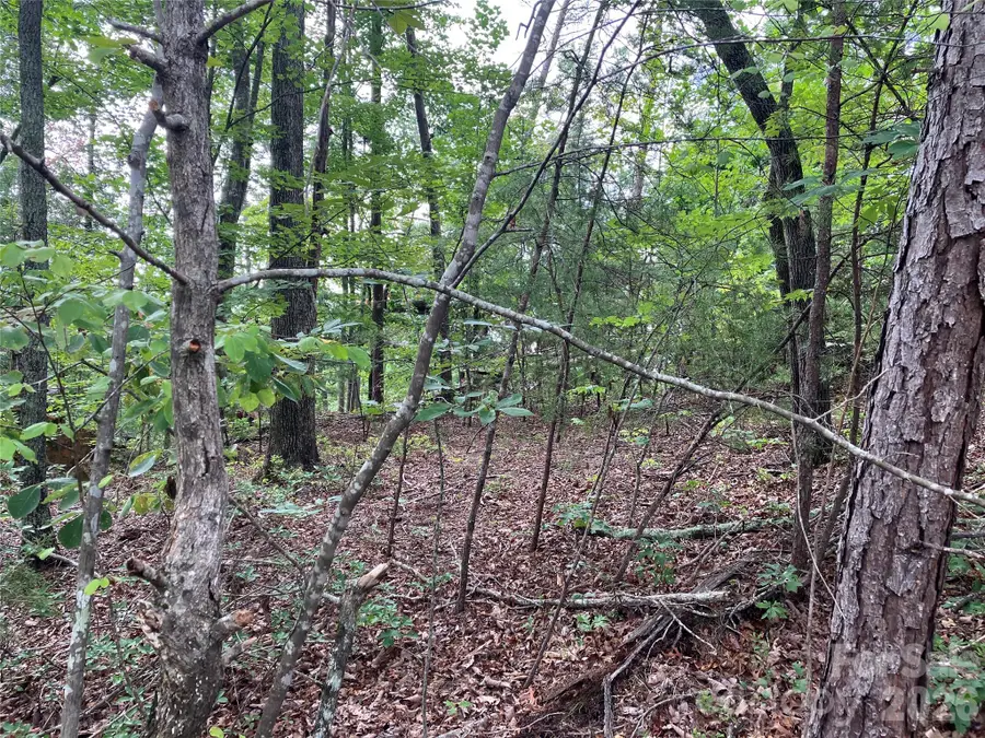 00 Tyler Terrace #Lot 11, Rutherfordton, NC 28139 - #3
