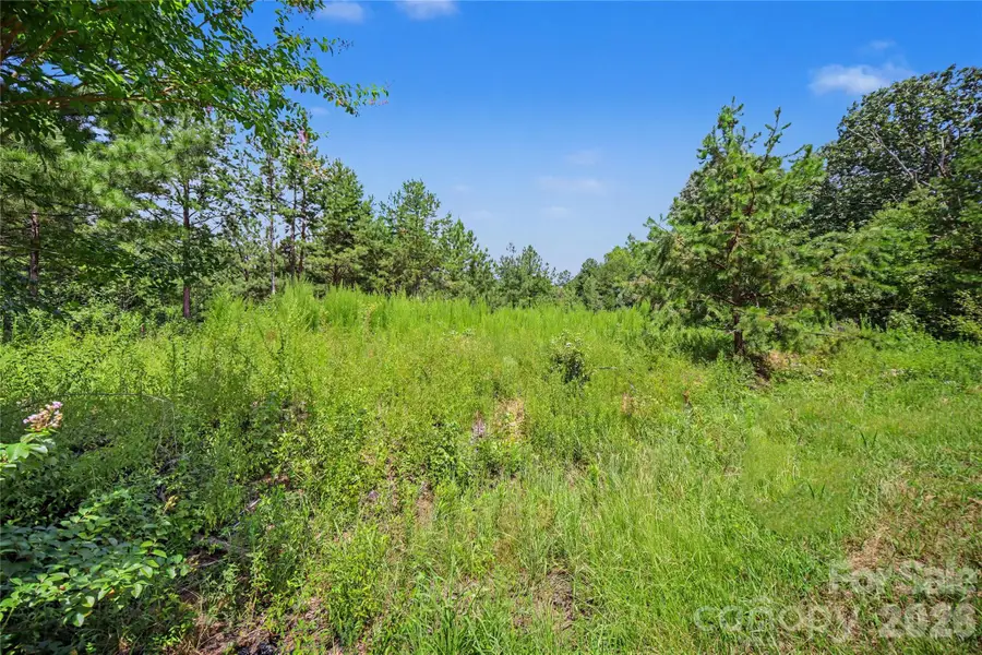 2410 Simfield Church Road, Matthews, NC 28105 - #3