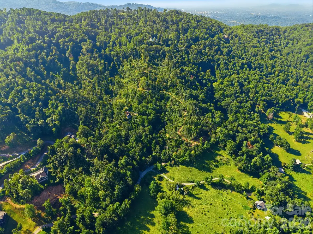 9999 Upper Herron Cove Road, Weaverville, NC 28787 - #1