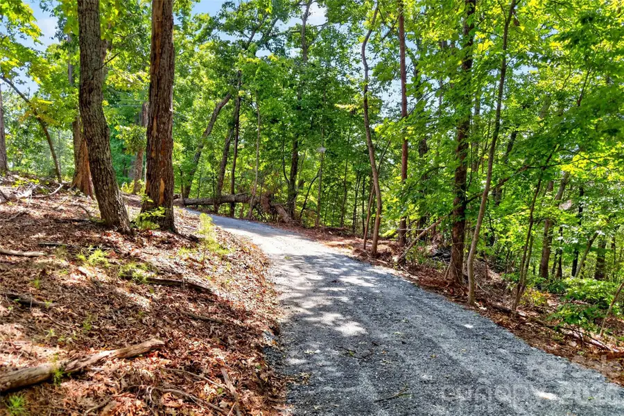 000 Buffalo Shoals Road, Lake Lure, NC 28746 - #3