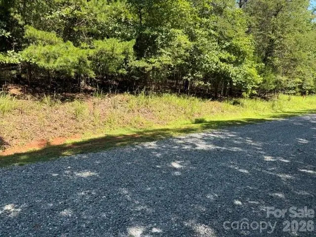 00 Elliott Drive #51, Rutherfordton, NC 28139 - #2