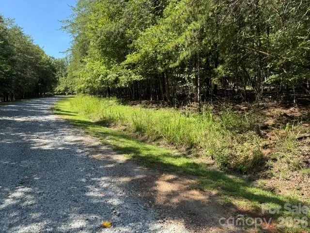 00 Elliott Drive #51, Rutherfordton, NC 28139 - #3