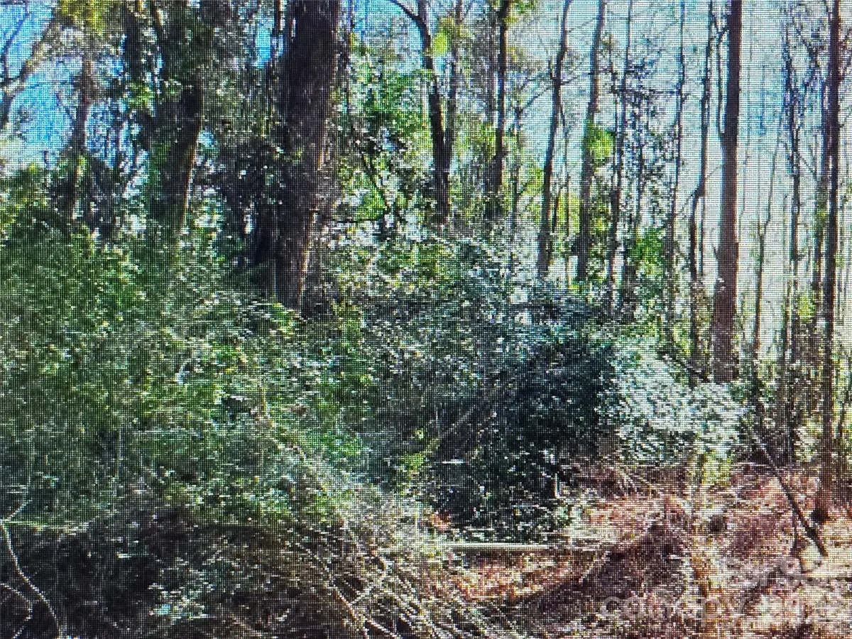 00 S Rollins Drive, Kershaw, SC 29067 - #1