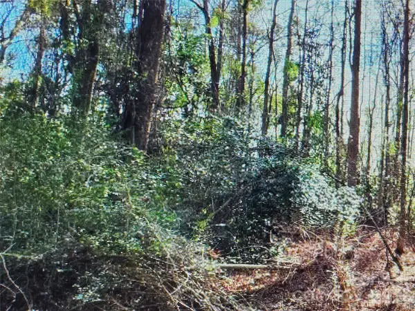 00 S Rollins Drive, Kershaw, SC 29067