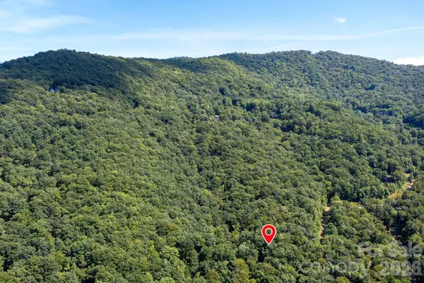 1250 Arborcrest Way #43, Fairview, NC 28778