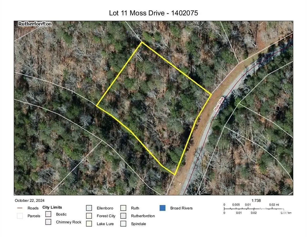 11 Moss Drive, Rutherfordton, NC 28139 - #1