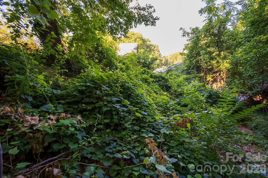 99999 Clingman Avenue, Asheville, NC 28801 - #2