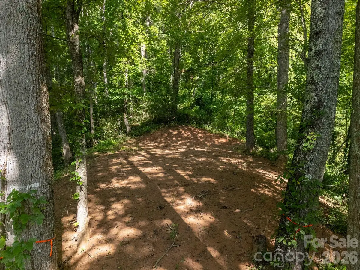 Lot D Claude Cook Road, Sylva, NC 28779 - #1