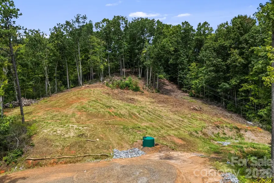 163 Camp Elliott Road, Black Mountain, NC 28711 - #2