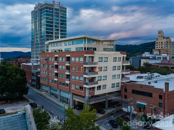 12 S Lexington Avenue #407, Asheville, NC 28801