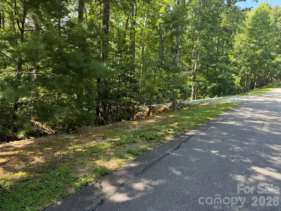 V/L Forest Country Drive #34, Marion, NC 28752 - #3
