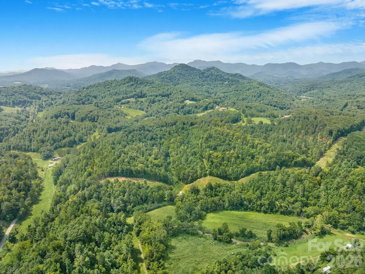 99999 Meadows Town Road, Leicester, NC 28748 - #1