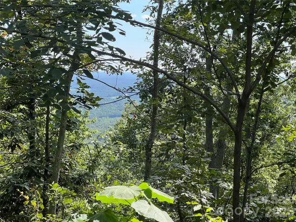 00 Brighton Drive #233, Bostic, NC 28018