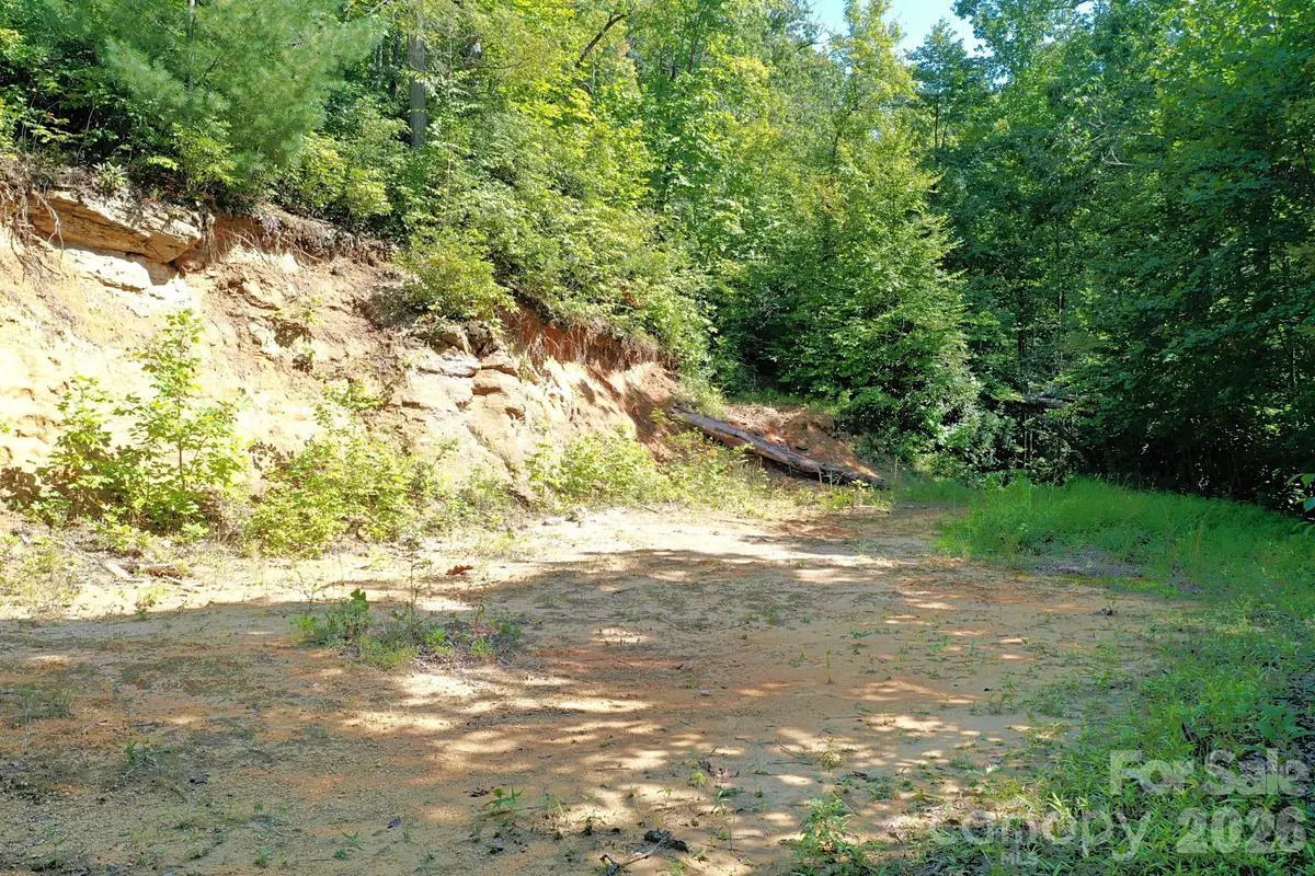 999 Fowler Lane, Fletcher, NC 28732 - #1