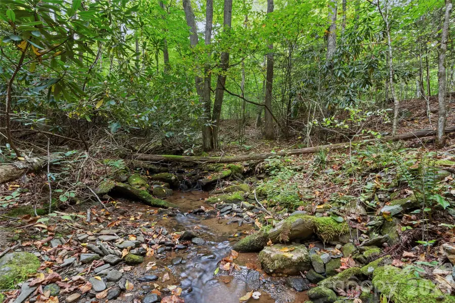 TBD Pond Road, Spruce Pine, NC 28777 - #2