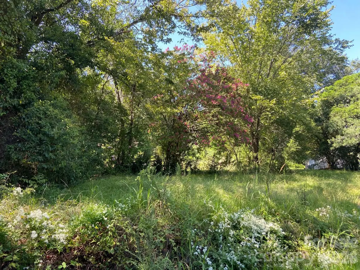 145 Neely Store Road, Rock Hill, SC 29730 - #1