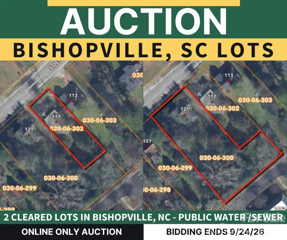 121 S Dennis Avenue, Bishopville, SC 29010 - #1