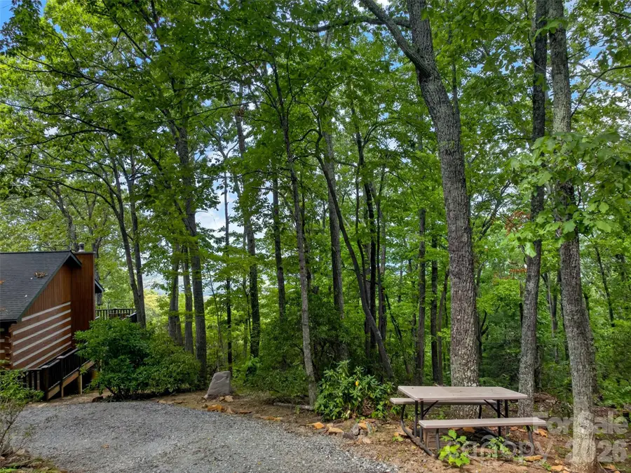 50 Cherokee Lane #3, Swannanoa, NC 28778 - #3