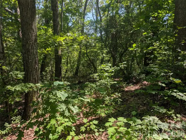 1824 Old Mill Road, Hendersonville, NC 28792