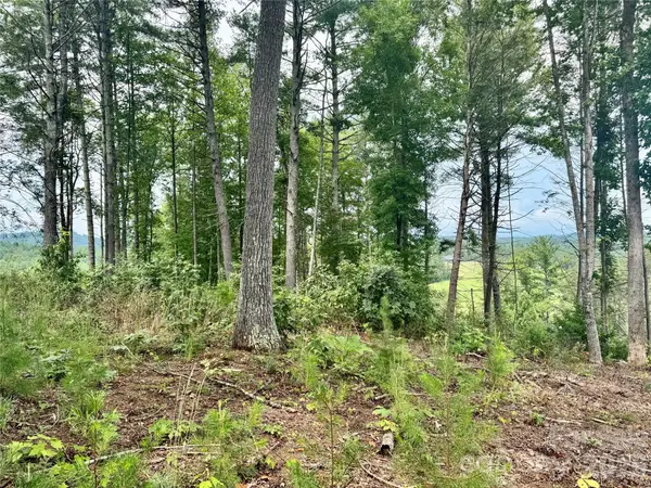Lot G18, 2070 Thoroughbred Way #G18, Lenoir, NC 28645