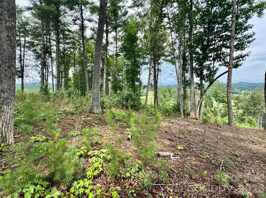 Lot G18, 2070 Thoroughbred Way #G18, Lenoir, NC 28645 - #3