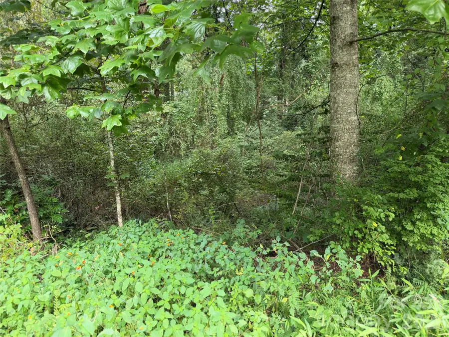 Off Meadowbrook Circle, Brevard, NC 28712 - #3